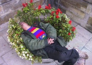Create meme: clear fun, flowers, homeless with flowers