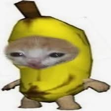 Создать мем: банан мем, mayot 163onmyneck бананы, кот в костюме банана