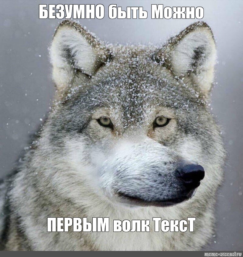 Можно Волк Фото