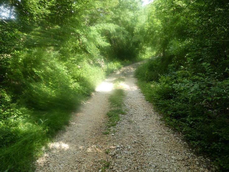 Создать мем: обои дорога в лесу вид сверху, dirt road, тропинка в лесу