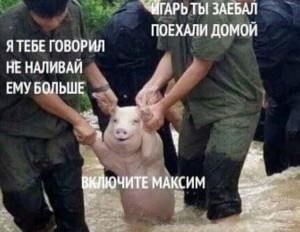 Create meme: a pig, happy pig, Chinese pig