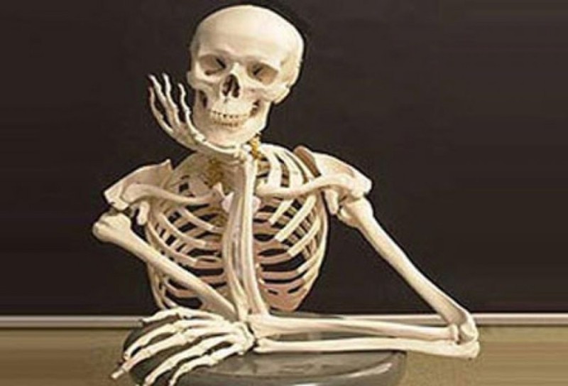 Create meme: skeleton in waiting, a man without a skeleton, the human body skeleton