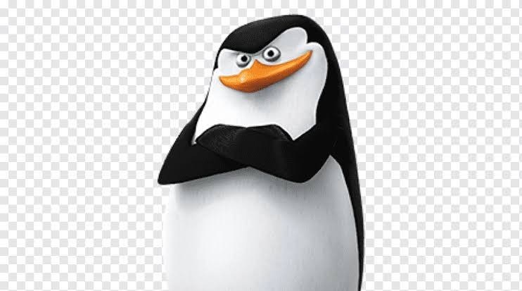 Create meme: penguin skipper , penguins from madagascar private, the penguins of Madagascar skipper
