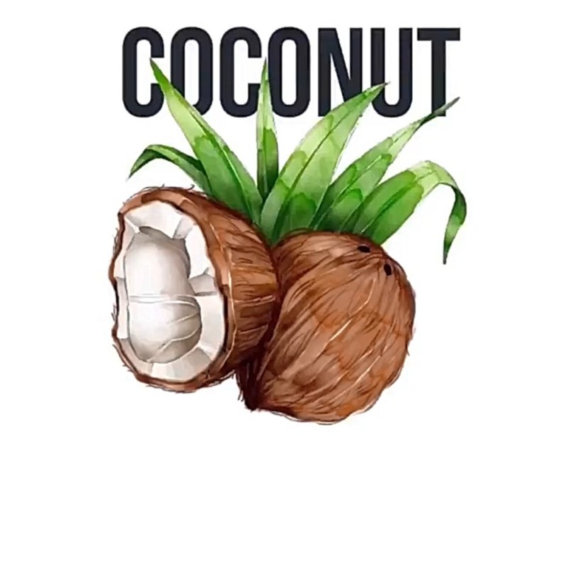 Create meme: coconut , coconut, coconut drawing