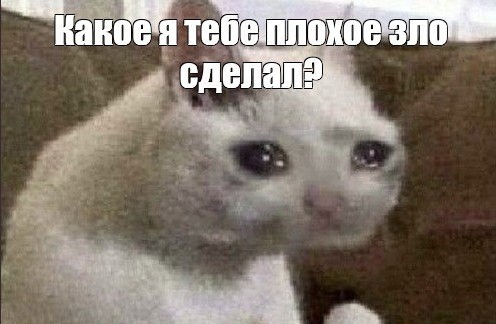 Создать мем: кошка плачет мем, плачущий кот мем, котик плачет мем