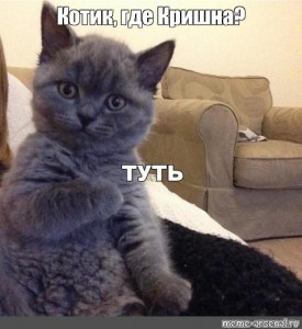 Create meme: kitty tut meme, tut, tut meme cat