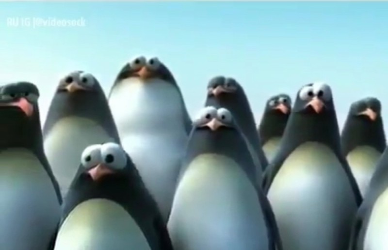 Create meme: Together we are the power of penguins, penguins penguin, penguins