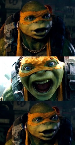 Ninja Turtle Meme Face