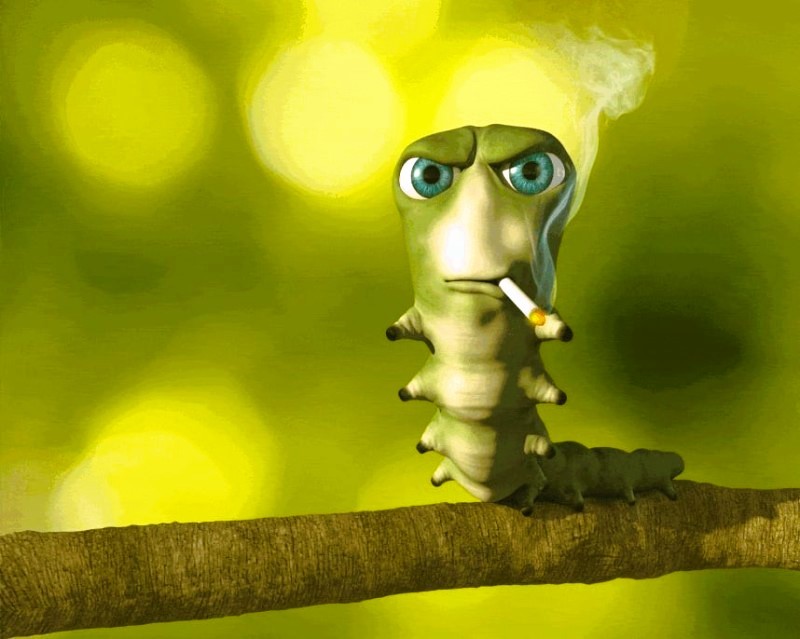 Создать мем: гусеница курит, червяк с сигаретой, гусеница с сигаретой мем