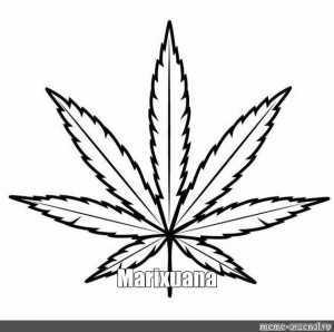 Как рисовать листик марихуаны у тор браузер hyrda вход