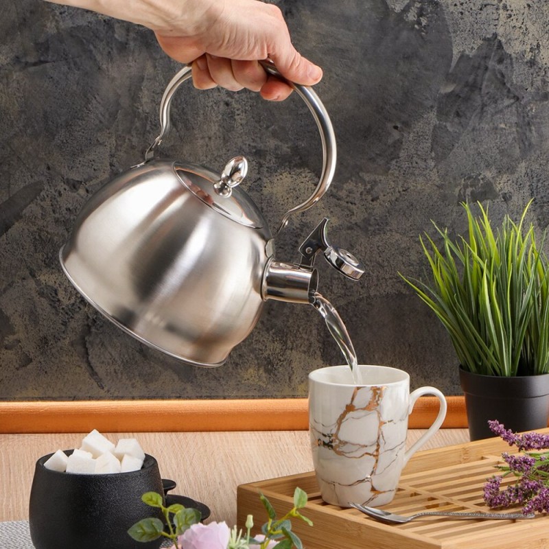 Create meme: kettle stainless steel, kettle , stainless steel kettle with metal handle