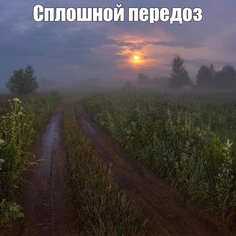Создать мем: природа красота, дорога туман, ночь туман