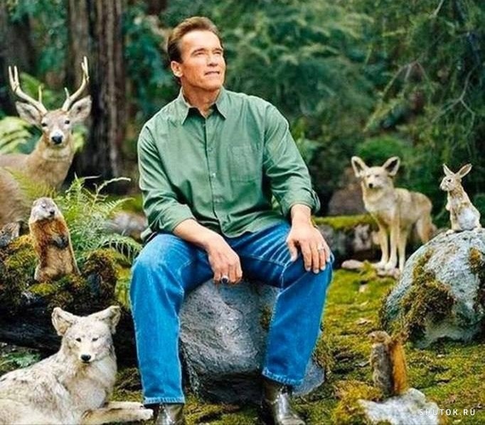 Create meme: Schwarzenegger on the nature of the meme, Arnold Schwarzenegger in the woods, Arnold Schwarzenegger in the forest with animals