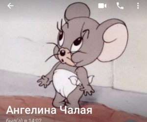 Create meme: gray mouse from Tom and Jerry, mouse from Tom and Jerry