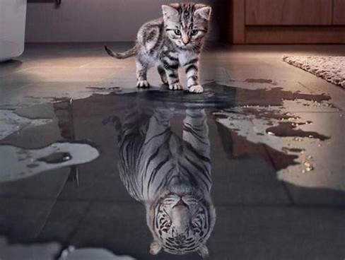 Create meme: a kitten in the reflection of a tiger, the cat in the reflection of the tiger, The tiger cat