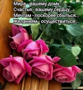 Создать мем: красивые цветы, красивые розы, желаю счастья