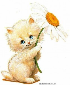 Create meme: cat with flowers, kitten with flowers, cat