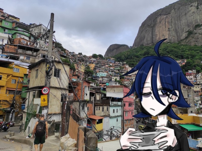 Create meme: rio de janeiro favelas, favela, brazil, rio's favelas