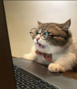Создать мем: Кот в очках