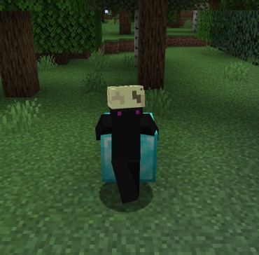 Create meme: survival minecraft, hacker in minecraft, screenshot 