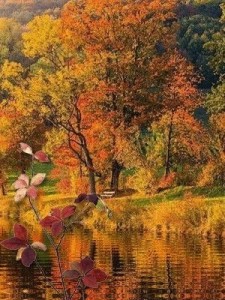 Create meme: autumn nature, landscape of autumn, autumn