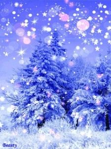 Create meme: animoticons tree magic, slideshow winter Christmas, the background of a winter fairy forest picture vertical