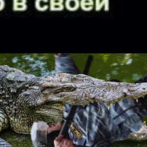 Создать мем: огромный крокодил, большой крокодил, аллигатор крокодил