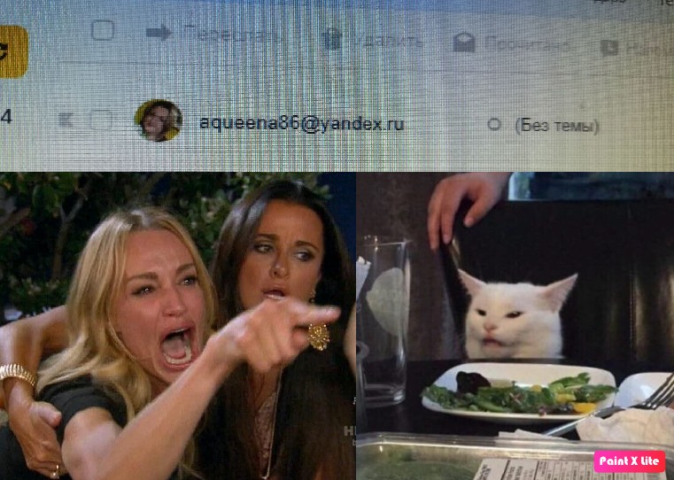 Create meme: cat meme , meme with a white cat, meme woman yelling at the cat