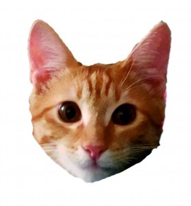 Создать мем: котейка пнг, cat png