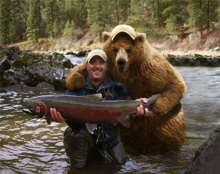 Создать мем: медведь гризли, встретил медведя на рыбалке, медведь и рыба