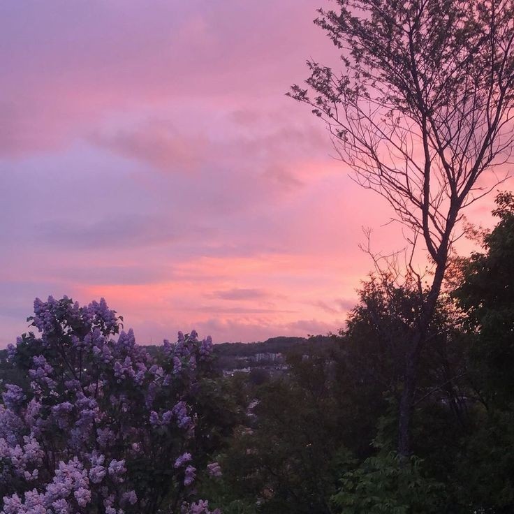 Create meme: lilac landscape, lilac at sunset, lilac dawn