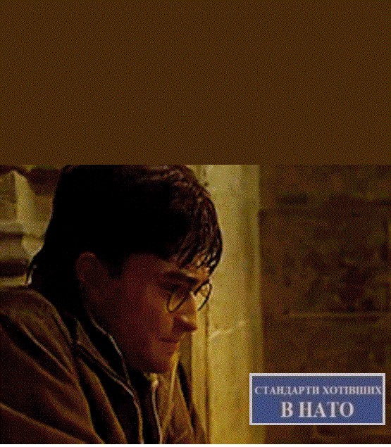 Create meme: Harry Potter is beaten, Harry Potter and the deathly Hallows part 2, harry potter harry