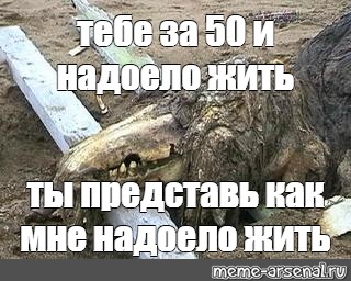 Мне надоело так жить слушать