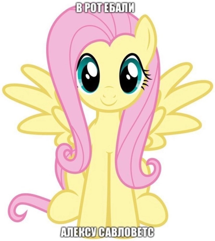 Create meme: pony fluttershy is small, my little pony fluttershy, fluttershy 