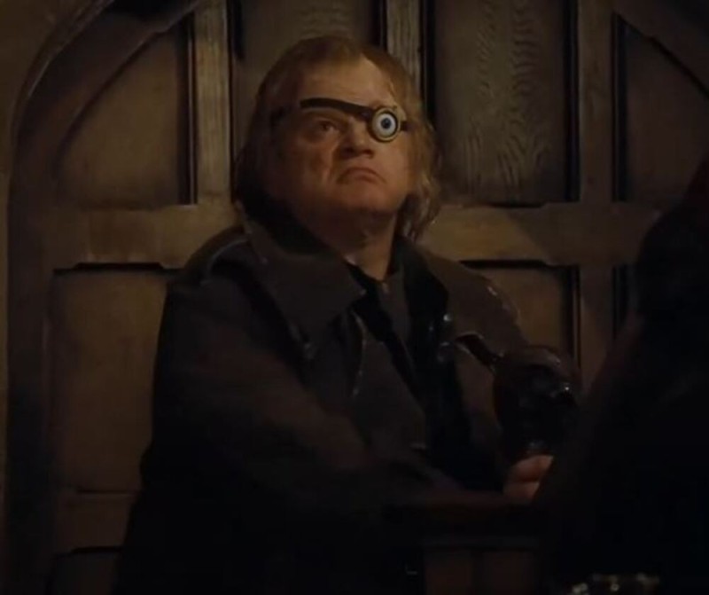 Create meme: harry potter and the goblet of fire , Alastor Moody harry Potter, Professor Moody from Harry Potter