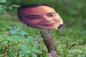 Create meme: Dima Naumov, mushrooms, Anya Gribtsova