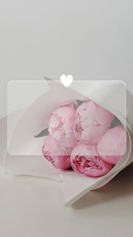 Create meme: bouquet of pink peonies, pink peonies bouquet, bouquet with peonies