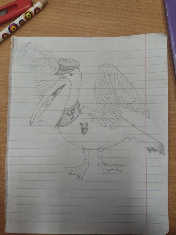 Create meme: bird , pencil drawings in a notebook, bird drawing