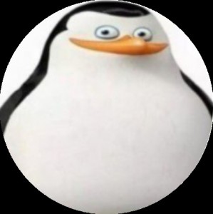 Создать мем: рико пингвины мадагаскара, пингвины из мадагаскара рико, пингвин рико