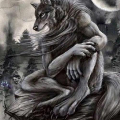 Create meme: werewolf wolf werewolf, wolf fantasy, fantasy werewolves