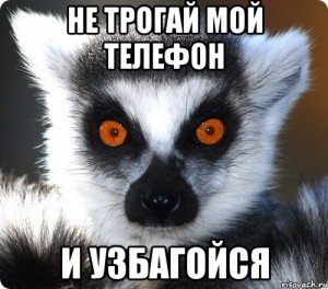 Create meme: uzbagoysya meme, sbagen, lemur