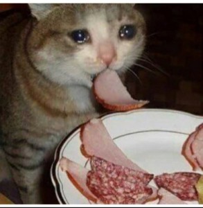 Создать мем: кот ест и плачет, coughing cat meme, кошка