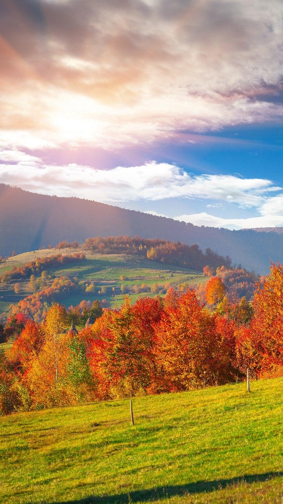 Осенний Пейзаж Фото Картинки