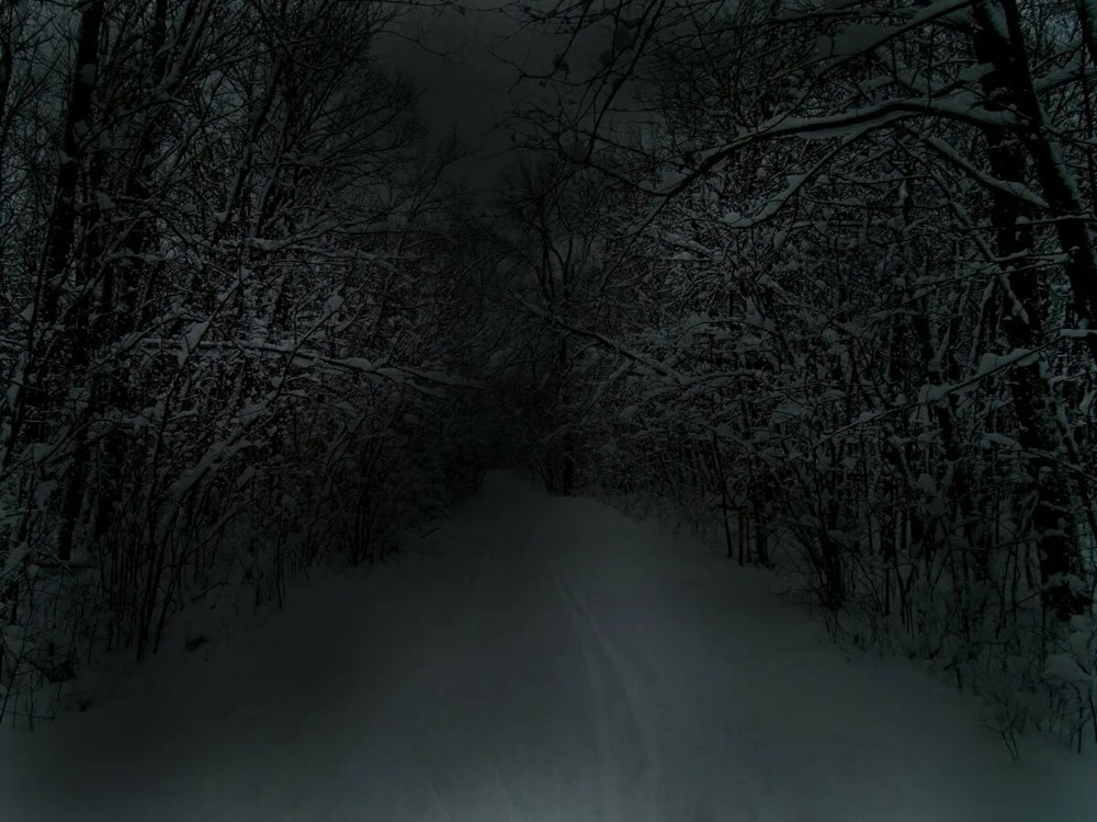 Create meme: winter is dark, dark snowy forest, winter forest at night