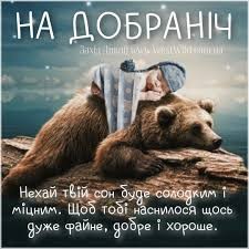 Create meme: animals bear, brown bear, bear