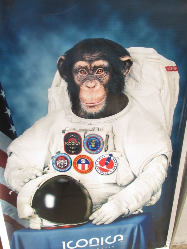 Создать мем: хэм обезьяна космонавт, обезьяна в скафандре, dope lemon группа