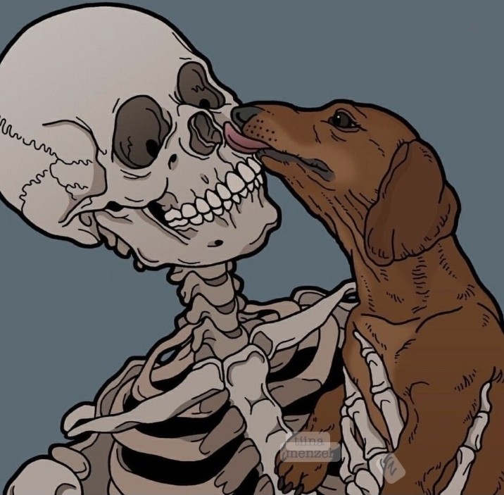 Создать мем: череп скелета, поп арт скелет, скелет собаки арт
