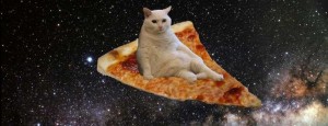 Создать мем: котик с пиццей, пицца мем кошка, коротко о моих снах
