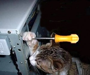 Создать мем: кот с гаечным ключом, кот ремонтирует, кот с отверткой