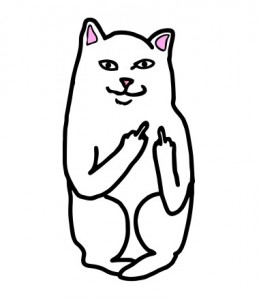Создать мем: кот с факом, кот с факом рисунок, котик с факами рисунок